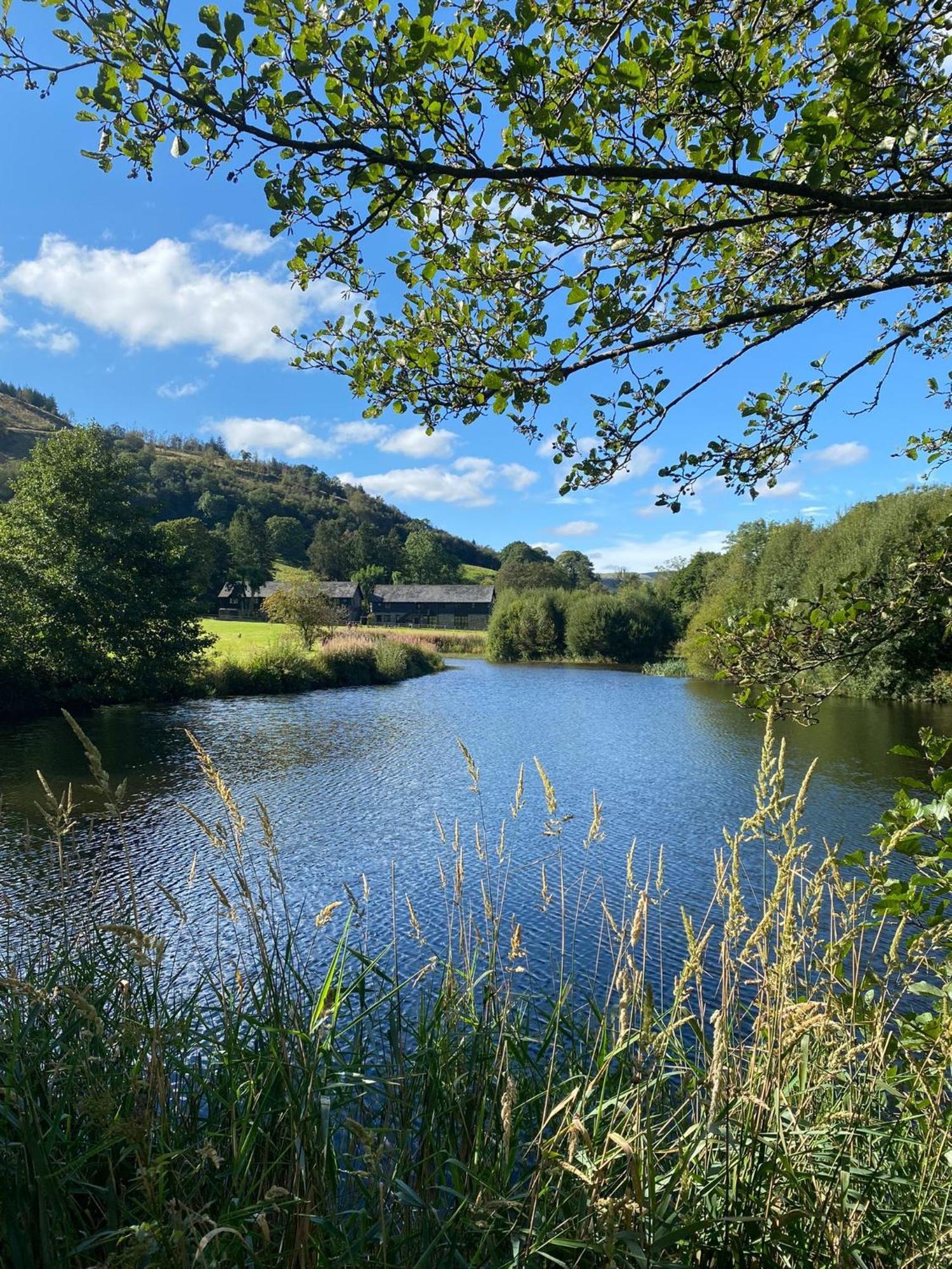 Lake Cottages At Cwm Chwefru Llanafan-fawr Kültér fotó